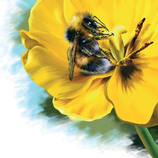Оригинал схемы вышивки «Пчелка» (№514429)