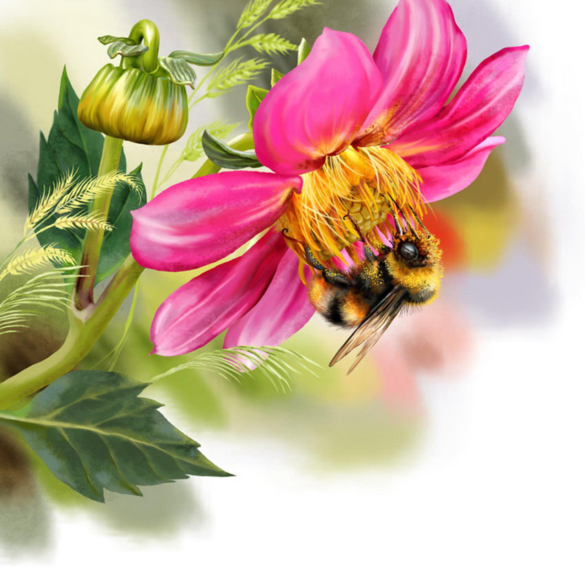 Пчелка 2 - цветы, насекомые - оригинал