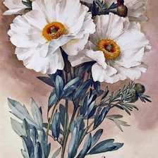 Оригинал схемы вышивки «белые цветы» (№514841)