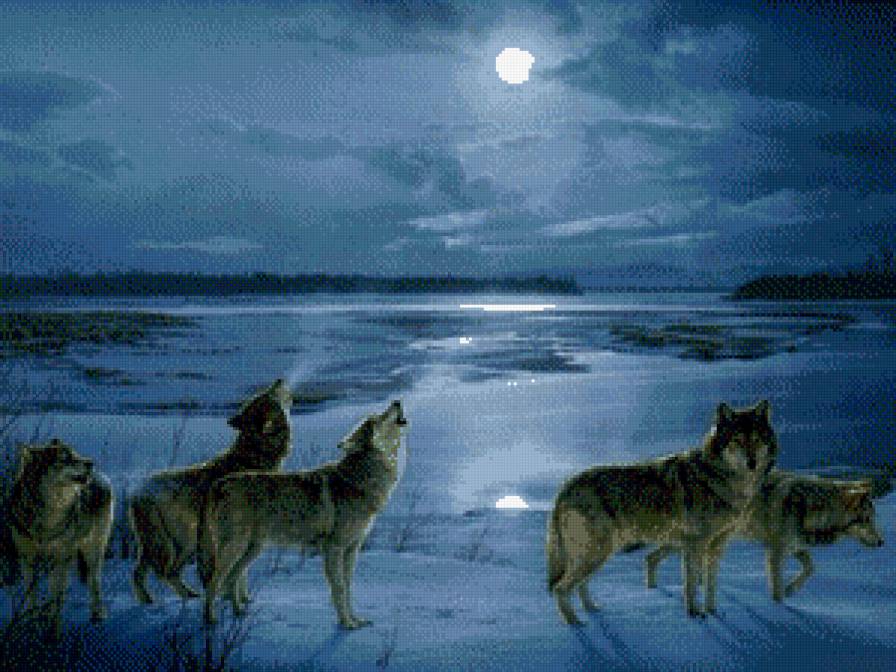 волки - зима, луна, волк, вой, стая, волки - предпросмотр