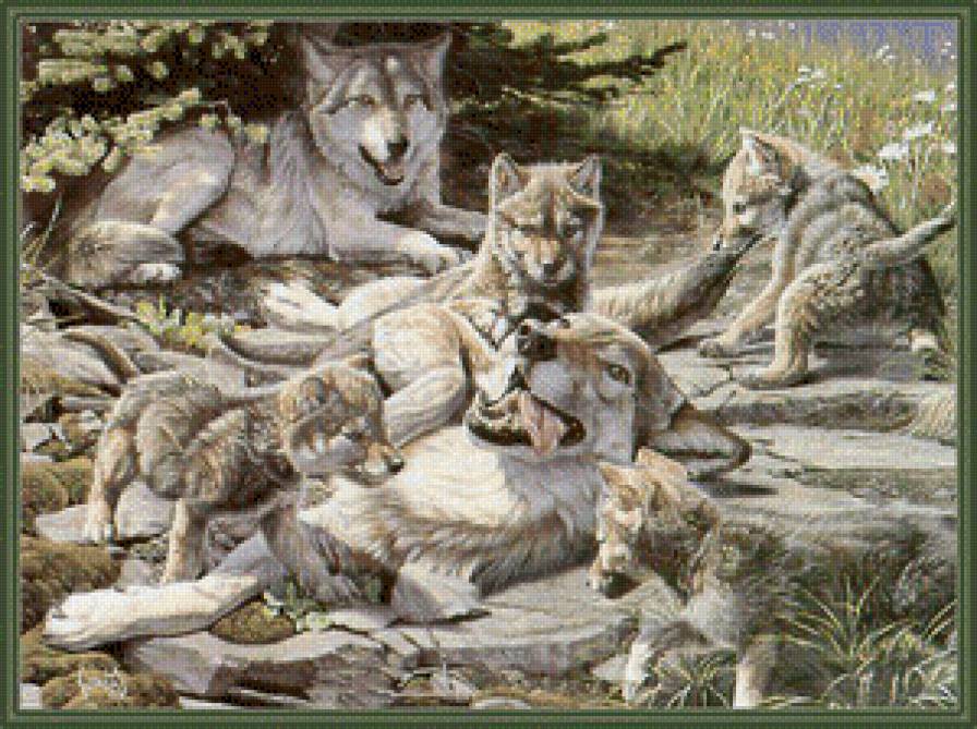 Волчья семья - волк, любовь, волки, семья, волчья верность - предпросмотр