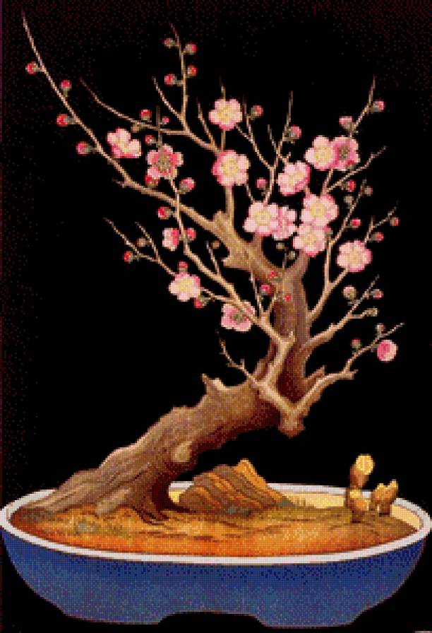 бансай - цветы, вазон, живопись, восток, дерево, сакура - предпросмотр