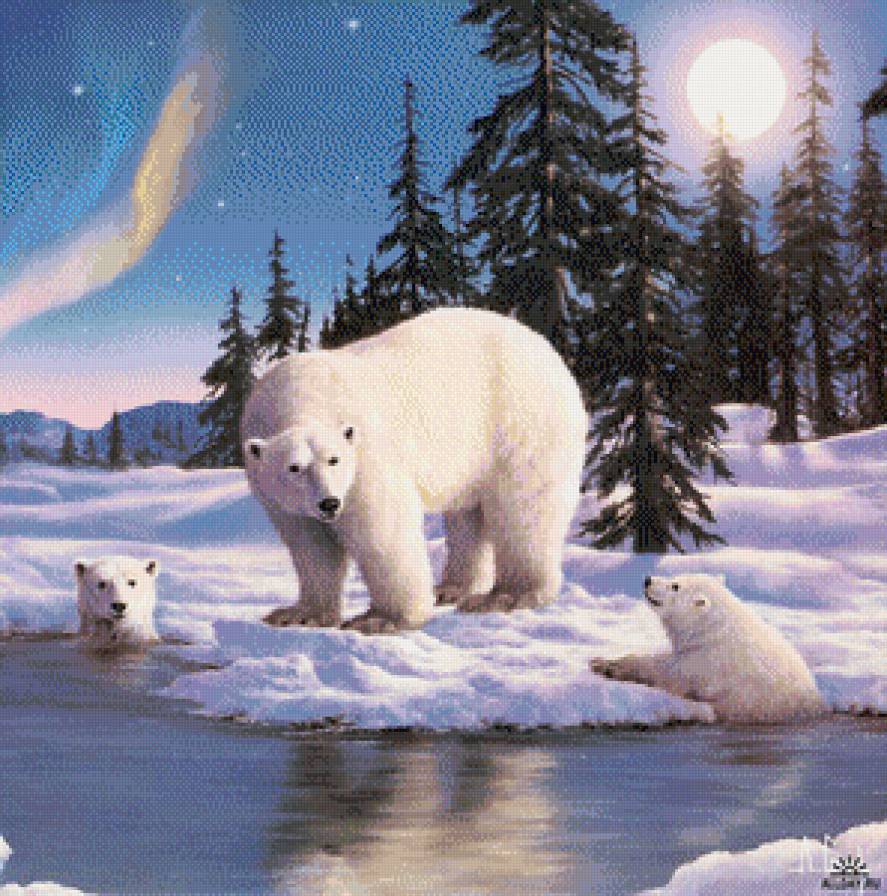 Купание медвежат - медведи, зима, пейзаж, животные, река - предпросмотр