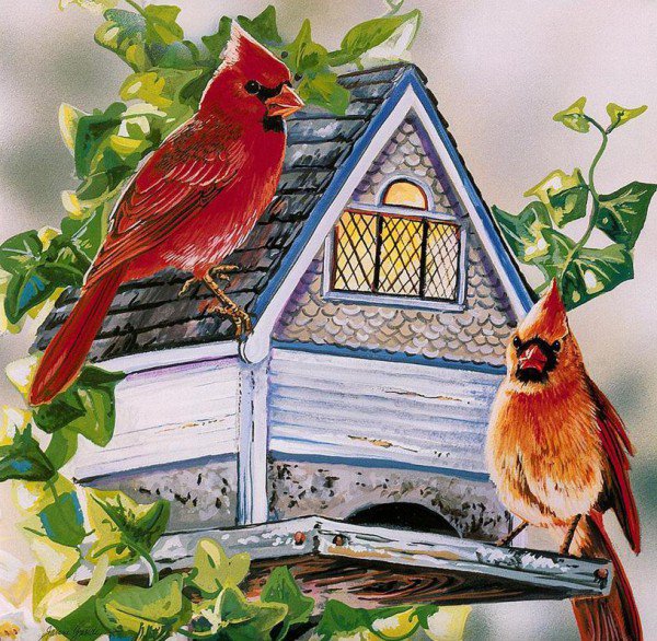 Серия "Птичий домик" - птицы, домик, кардиналы - оригинал