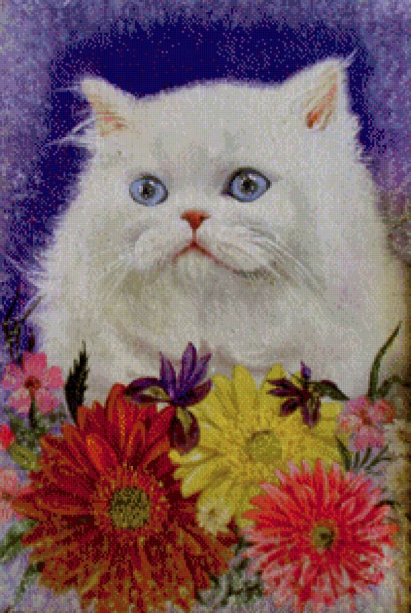 голубоглазый перс - живопись, гербера, кот, кошка, глаза, ирис, цветы - предпросмотр
