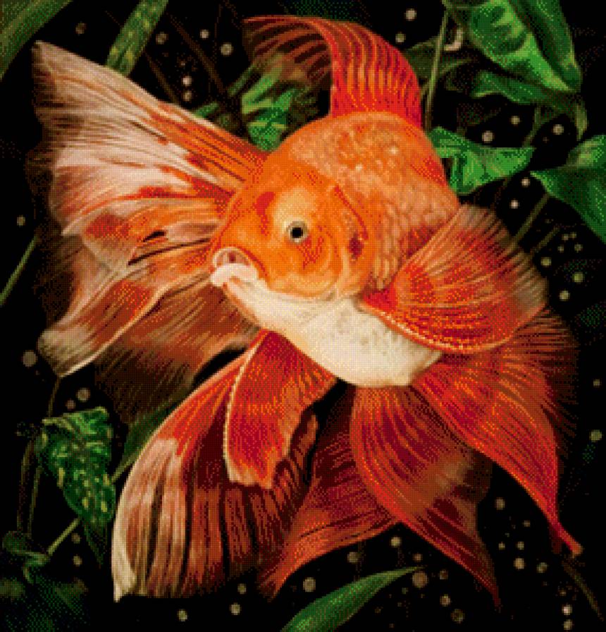 золотая рыбка - водоросли, пузыри, живопись - предпросмотр
