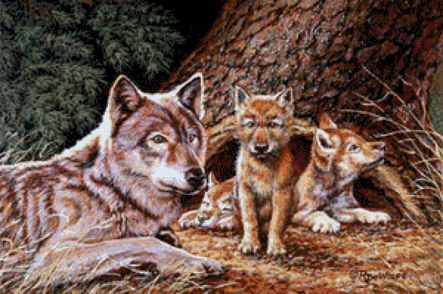 Любимая мама - волк, любовь, волки, волчья верность, семья - предпросмотр