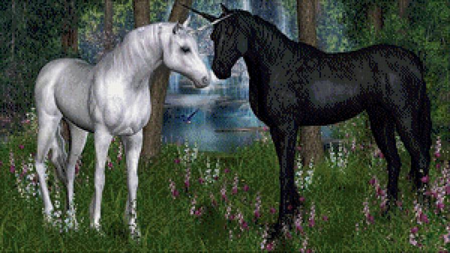единороги 5 - лошади, сказка, существа, легенда, животные, миф, единороги, кони - предпросмотр