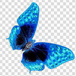 Оригинал схемы вышивки «бабочка» (№516150)