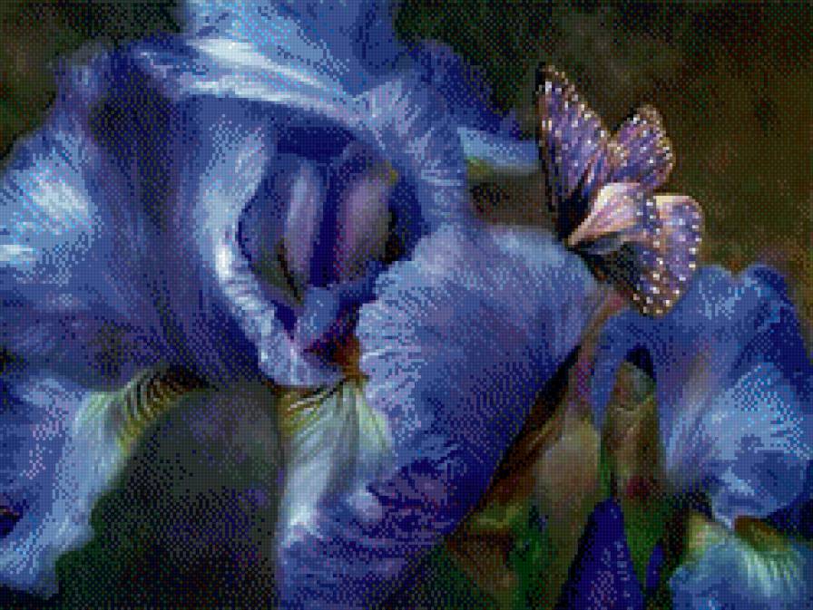 голубой ирис и бабочка - стрекоза, бабочка, букет, цветок, мотылек, природа, ирис, веточка - предпросмотр