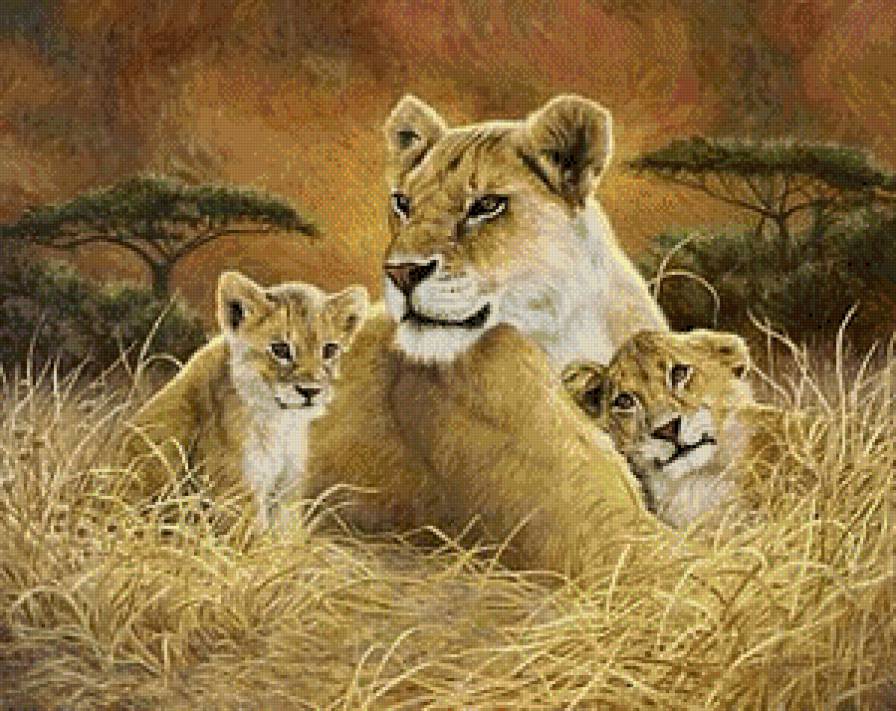 Любимая мама - дикие кошки, кот, львы, природа, животные, звери - предпросмотр