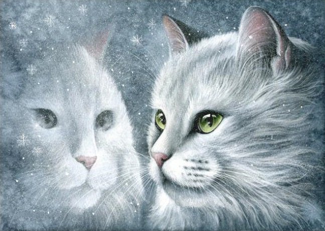 белая и пушистая... - снежинки, кошки, кошка, зима, кот, белая кошка, домашние животные - оригинал
