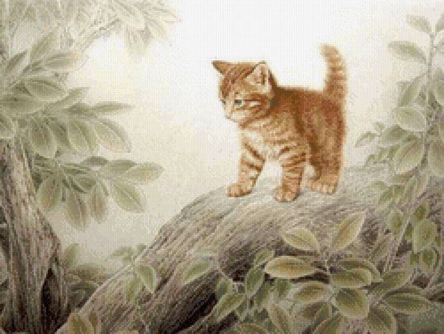 котёнок на камне 2 - природа, котенок, домашние любимцы, кот, кузнечик - предпросмотр