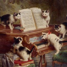 котята пианисты