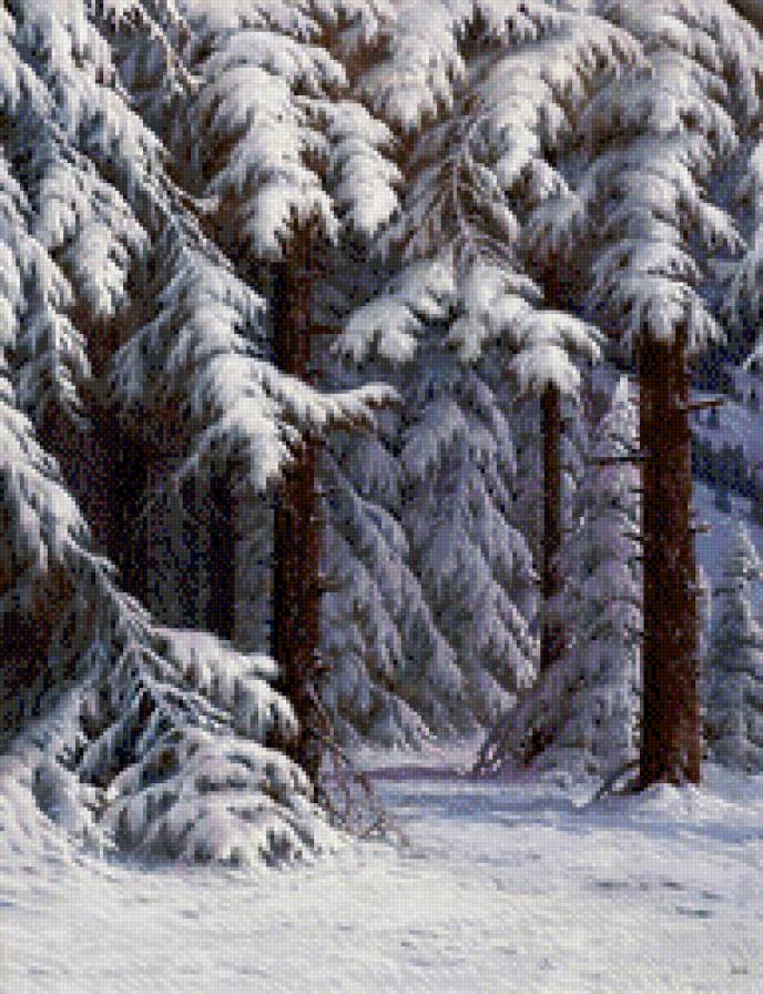 зимний лес 2 - пейзаж, зима, новый год, природа, снег, лес - предпросмотр