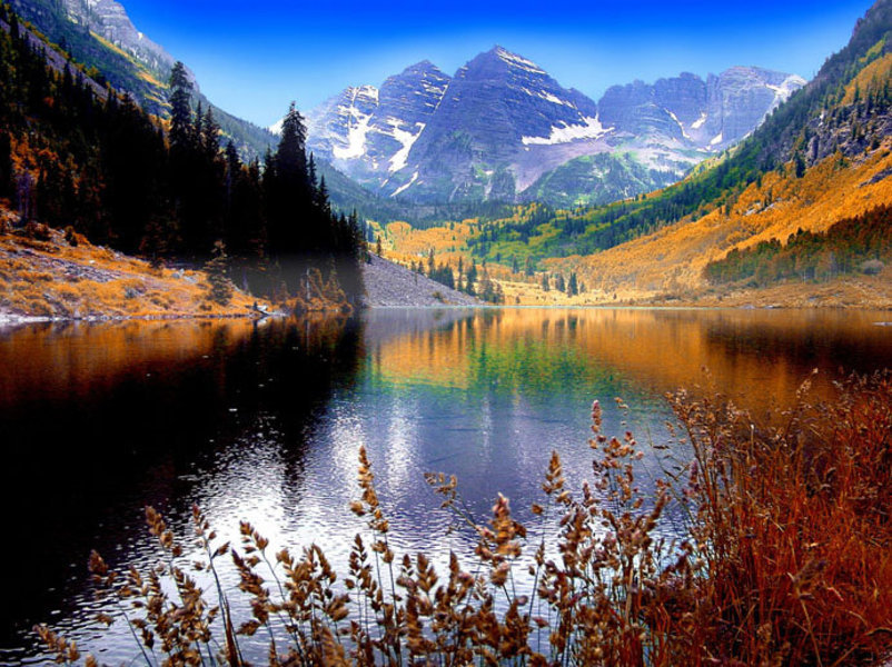 Пейзаж - природа, небо, лес, цветы, река, вода, деревья, горы - оригинал