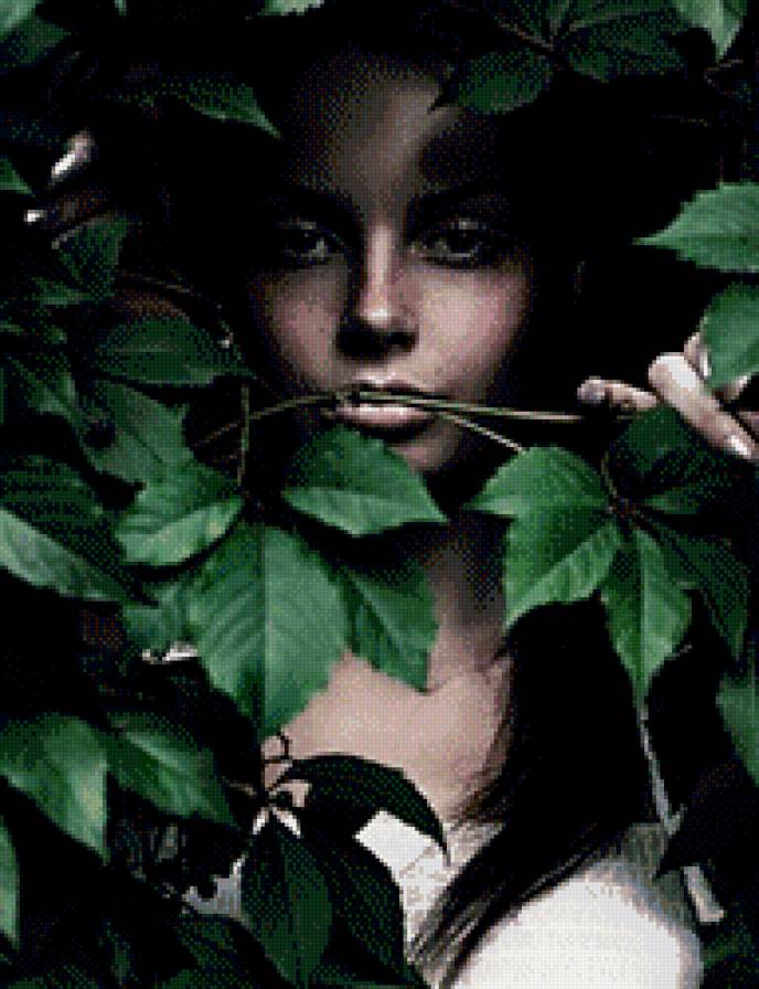 Девушка Лето - листья, девушка, природа - предпросмотр