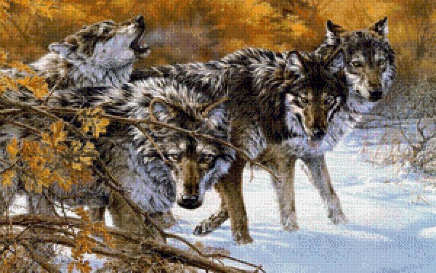 волки стая - животные волки - предпросмотр