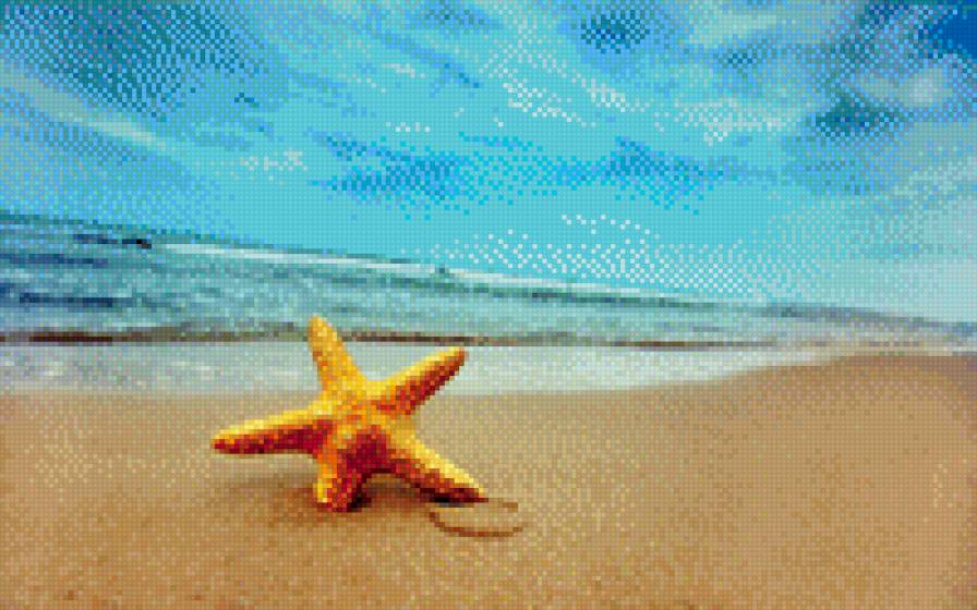 Морская звезда - море, звезда, небо, природа - предпросмотр