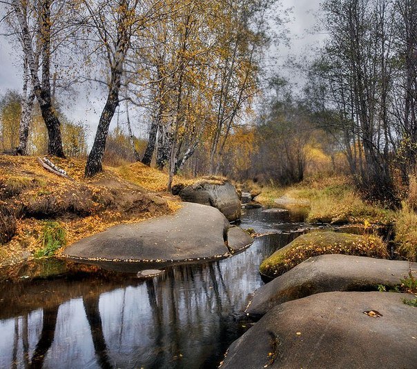 Осень - лес, речка, осень, камни, березки - оригинал