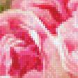 Предпросмотр схемы вышивки «роза» (№518500)