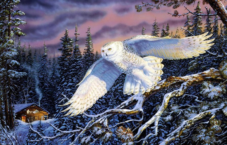 снежная сова - серия птицы, сова, филин, дерево, хищные птицы, лес, ель - оригинал