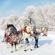 Оригинал схемы вышивки «красота зимы в Росии» (№518741)