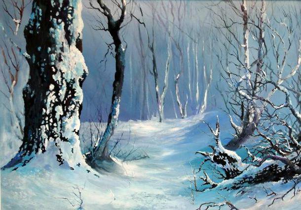 зима в лесу - природа, пейзаж, снег, дерево, зима, лес - оригинал