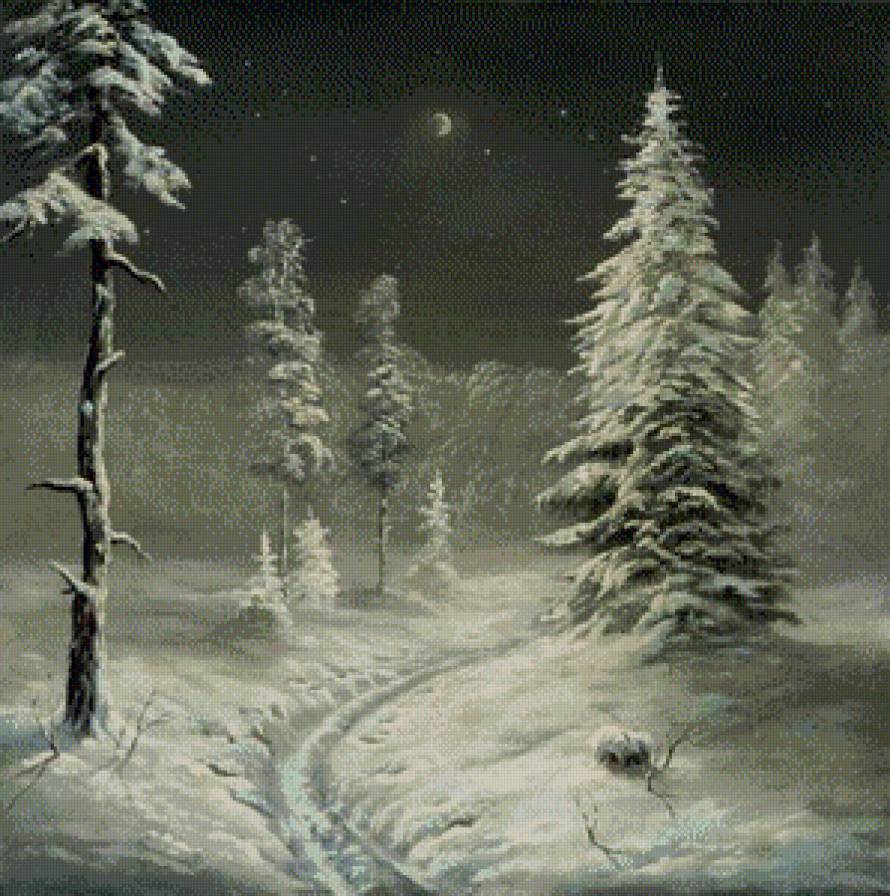 зима ночь монохром - природа, лес, зима, чорнбелое, монохром, пейзаж, снег, новый год - предпросмотр