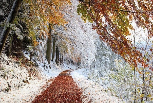 природа - природа, осень, снег, пейзаж - оригинал