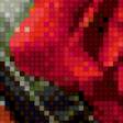 Предпросмотр схемы вышивки «Скрипка с цветами» (№519115)