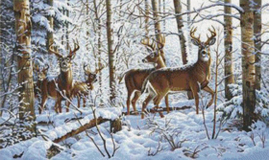 олени в зимнем лесу 2 - косули, дикие.животные.лес.природа, зима, олени, закат - предпросмотр