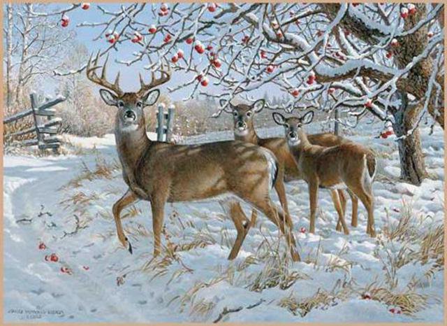 олени в зимнем саду - закат, зима, дикие.животные.лес.природа, косули, олени - оригинал