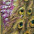 Предпросмотр схемы вышивки «павлин» (№520711)