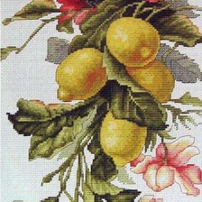 Схема вышивки «лимони»
