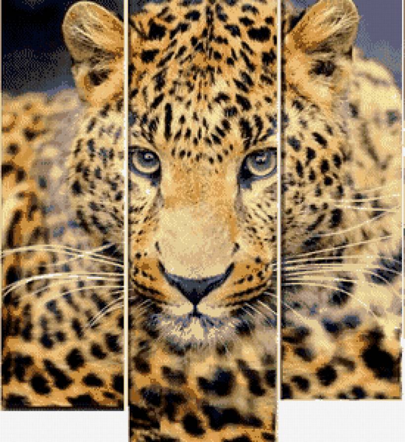 Леопард (триптих) - леопард, большие кошки, животные, триптих - предпросмотр