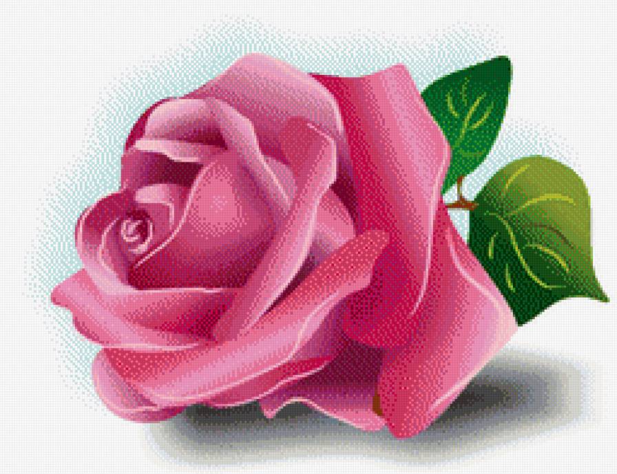 Роза - натюрморт, цветы - предпросмотр
