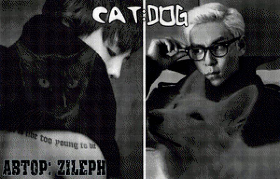 Cat:Dog - bigbang, k-pop, t.o.p, gd - предпросмотр
