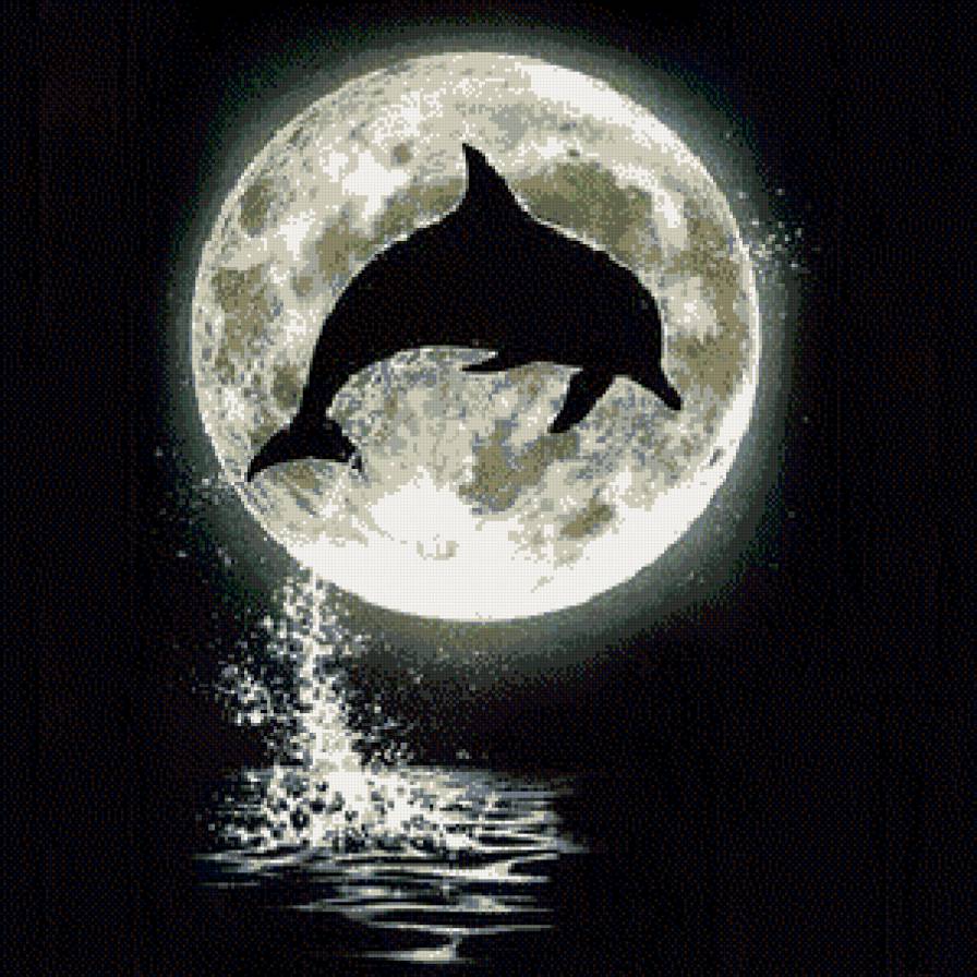 делфин монохром - дельфины, море, чорнобелое, монохром, луна - предпросмотр