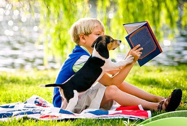 Друзья-малыши - собака, люди, ребенок, книга, животные, природа - оригинал