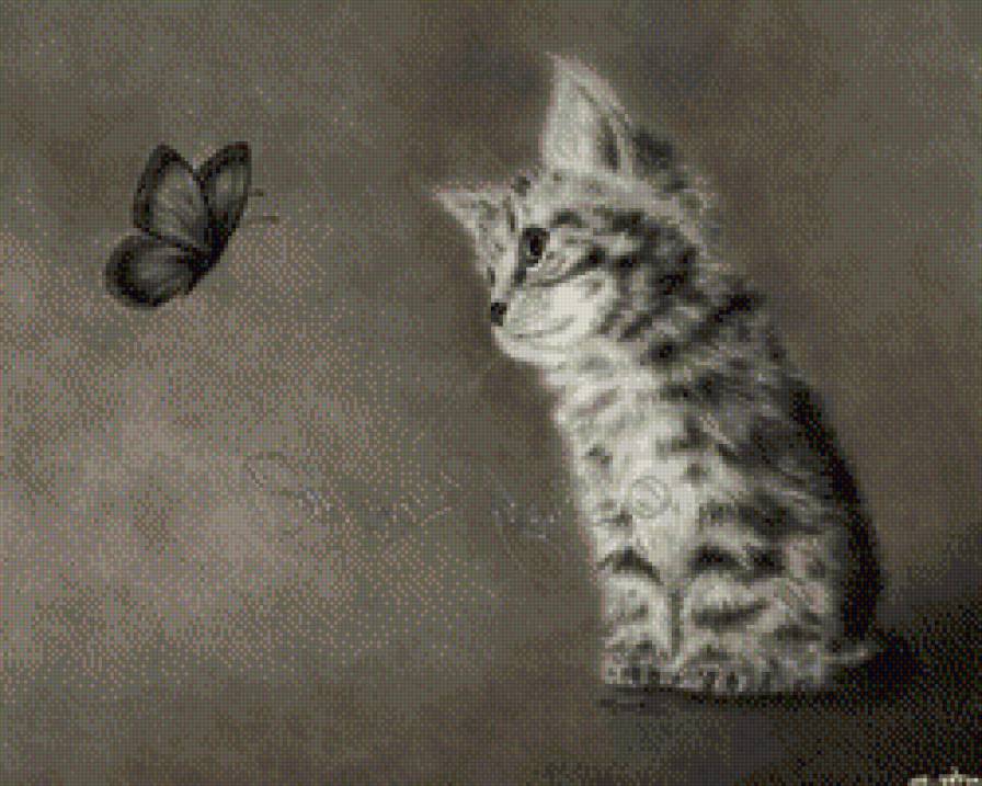 котенок и бабочка 2 монохром - чорнобелое, бабочкамонохром, котенок - предпросмотр