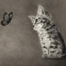 котенок и бабочка 2 монохром