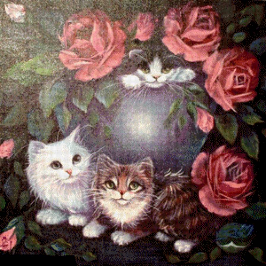 Котики в цветах - розы, цветы, животные, кошки - предпросмотр