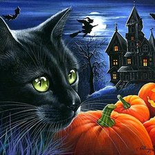 Оригинал схемы вышивки «Мой любимый черный кот» (№522633)