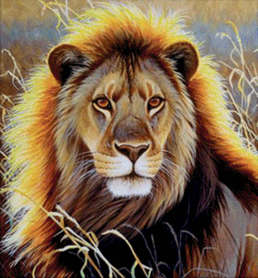король-лев - лев, африка, хищник, саванна, львы - предпросмотр