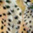 Предпросмотр схемы вышивки «Леопард» (№523149)