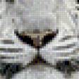 Предпросмотр схемы вышивки «Тигр» (№523186)