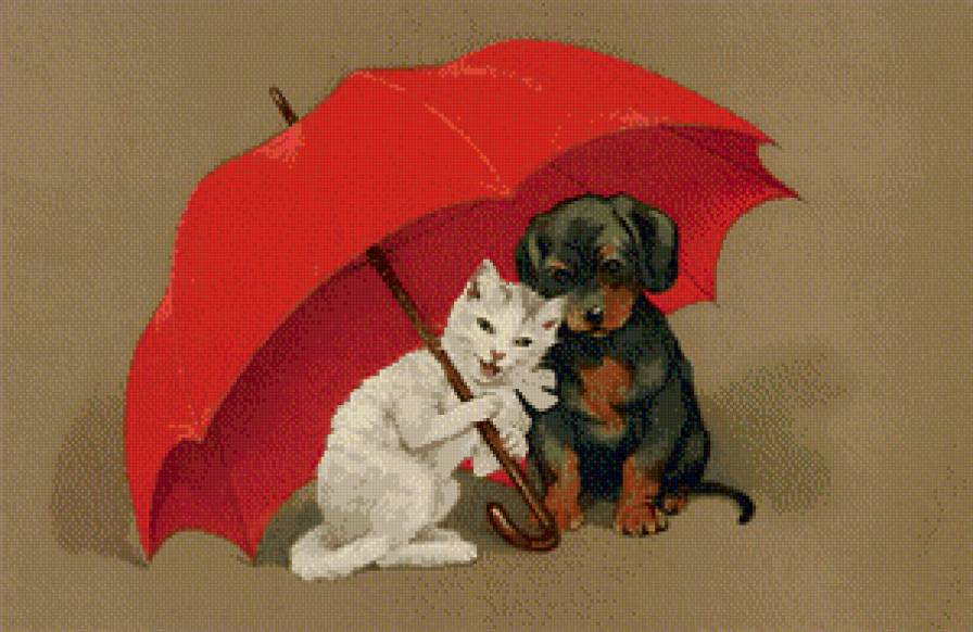 Ребятки под зонтиком - собака, животные, кот, зонтик - предпросмотр
