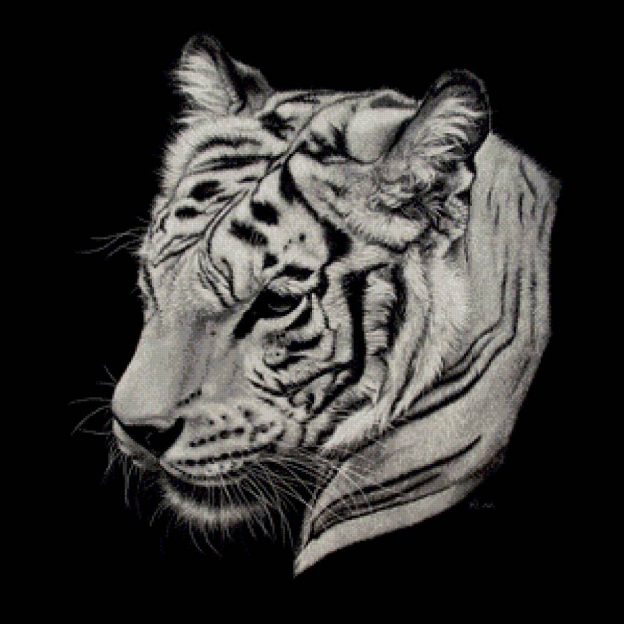 Серия "Белое на черном" - тигры, животные - предпросмотр
