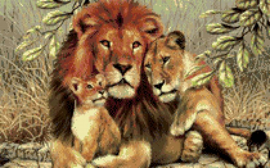 Львы - семья, львы, животные - предпросмотр